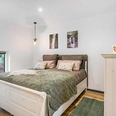 Eifelzauber Lejlighed *